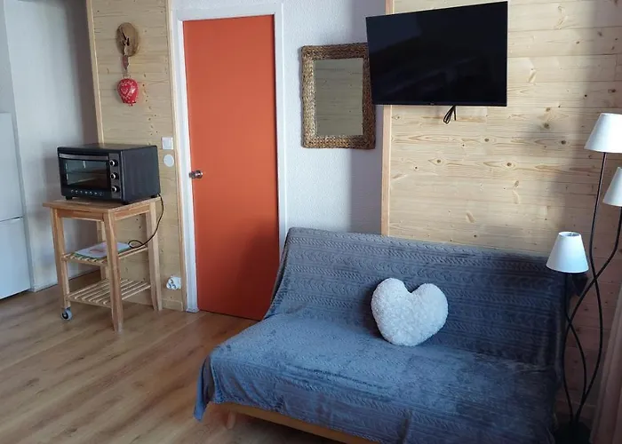 Appartement Au Pied Du Pic Du Midi A La Mongie